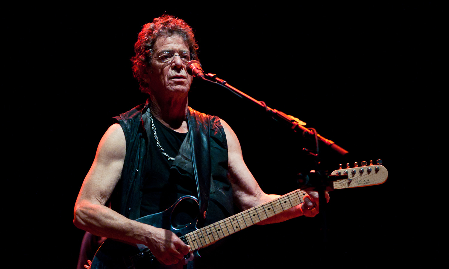 Lou Reed na Słowacji w 2012 roku (fot. Michal Durinik / Shutterstock.com)