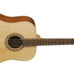 Washburn WD7S