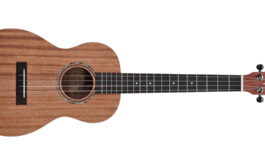 Alvarez RU22B – test ukulele barytonowego