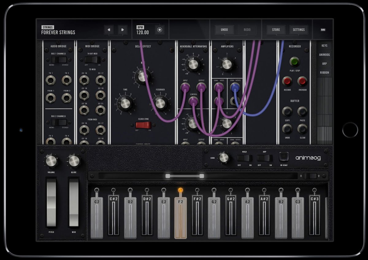 Moog Model 15