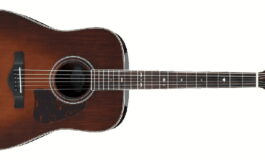 Ibanez Artwood Vintage Thermo Aged