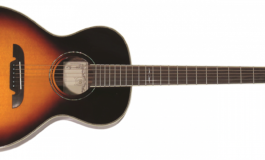 Gitara akustyczna Alvarez Blues 51