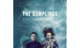 The Dumplings 2Track Remix