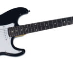 Washburn WS300H