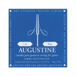 Augustine