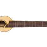Washburn Rover RO10E