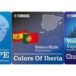 Voice & Style Expansion