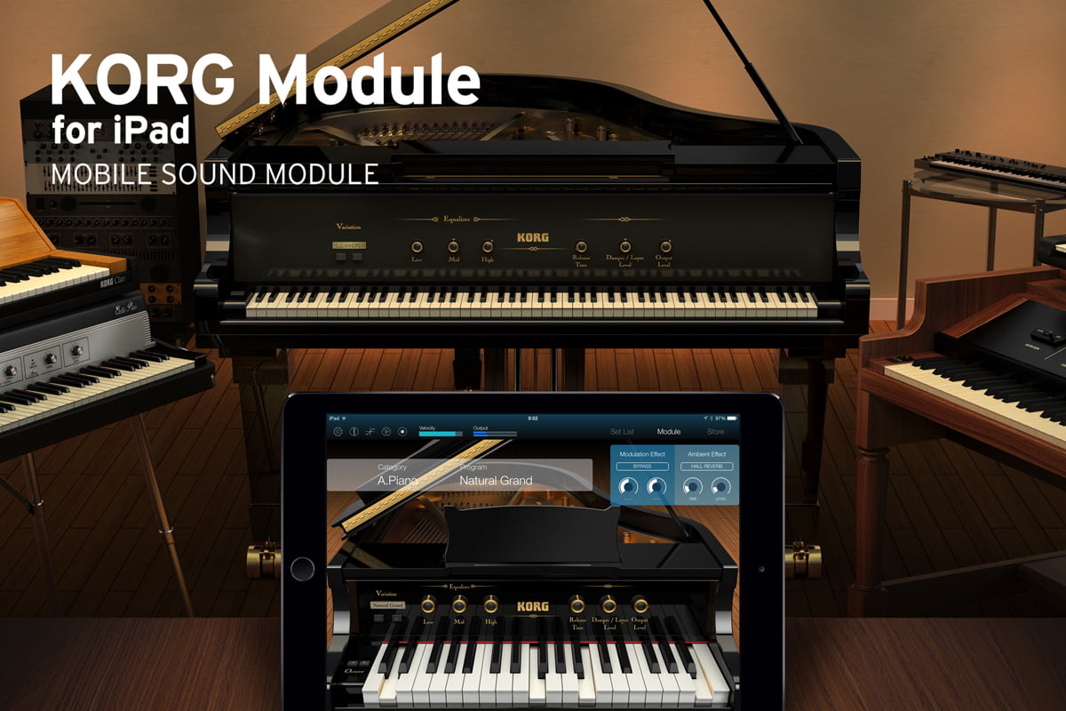 Korg Module