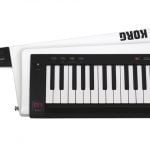 Korg RK-100S