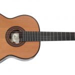 Paco Castillo 205