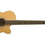 Washburn AB5