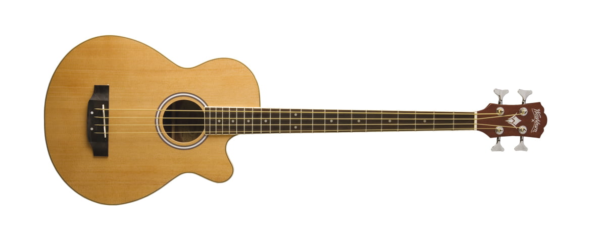 Washburn AB5