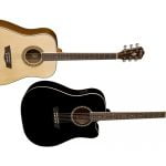 Washburn WD10 i WD10CE