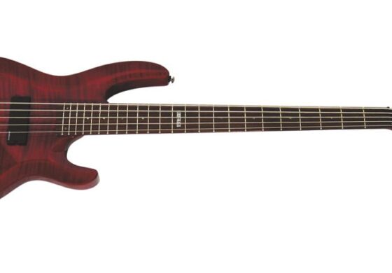 LTD B-255 – test gitary basowej