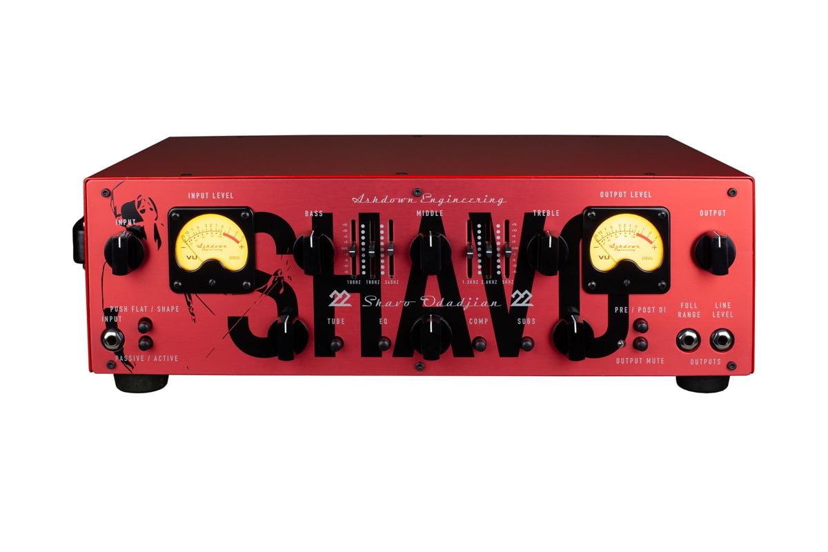 Ashdown 22 HEAD Shavo Odadjian