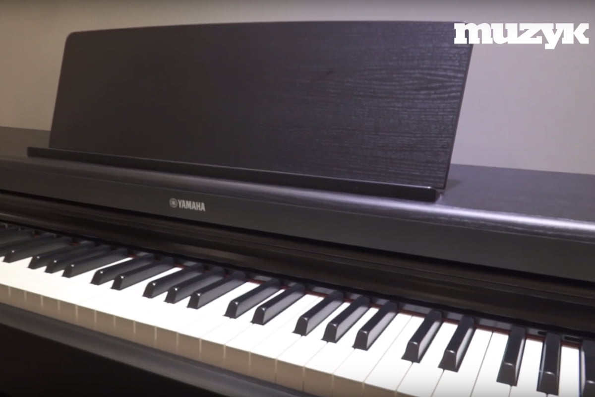 Yamaha Arius YDP-164