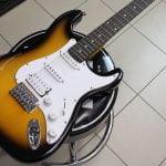 Washburn WS300H