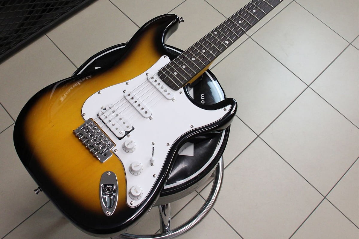 Washburn WS300H