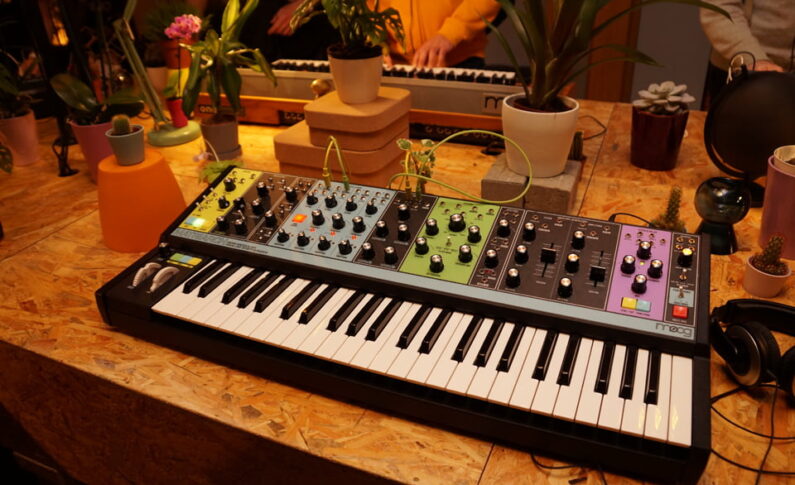 Moog Matriarch