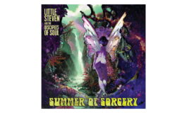 Little Steven „Summer of Sorcery” – recenzja