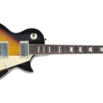 Jay Turser JT-220D