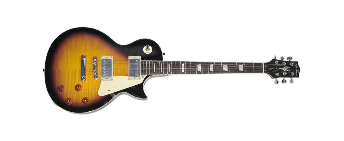 Jay Turser JT-220D