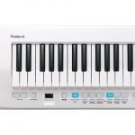 Roland Lucina AX-09