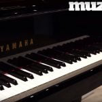 Yamaha Bösendorfer