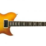 Washburn WI-66PROF