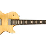 Gibson Les Paul Push Tone