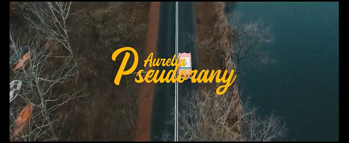Aurelia „Pseudorany”