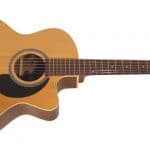 Seagull Performer Mini Jumbo