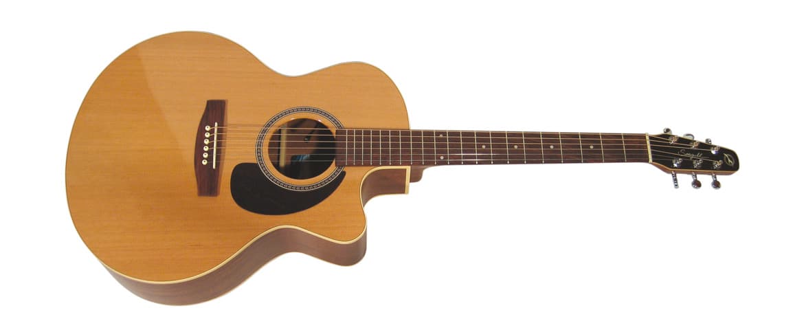 Seagull Performer Mini Jumbo