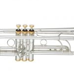 Yamaha YTR-8335RS25TH
