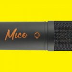Monkey Banana Mico