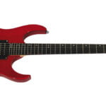 Washburn WR154