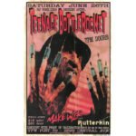 Teenage Bottlerocket