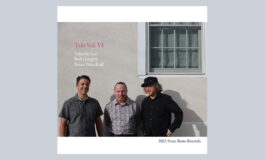 Takeshi Asai „Trio Vol. VI” – recenzja płyty