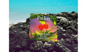 Calvin Harris, Dua Lipa i Young Thug w utworze „Potion”