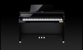 Peter Sandberg, Chamberlain i pianino Casio GP-510