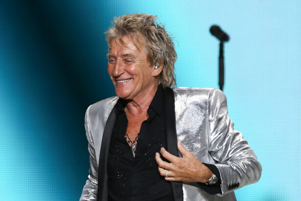 Rod Stewart (fot. Debby Wong / Shutterstock.com)