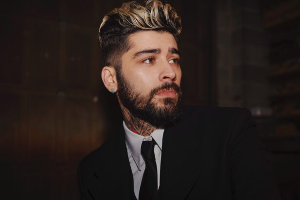 ZAYN (fot. Sebastián Faena /mat. prasowe Universal Music Polska)