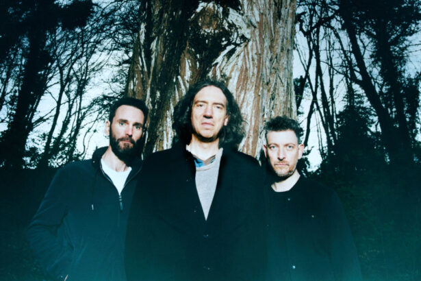 Snow Patrol „The Forest Is The Path” (fot. Tom Beard)