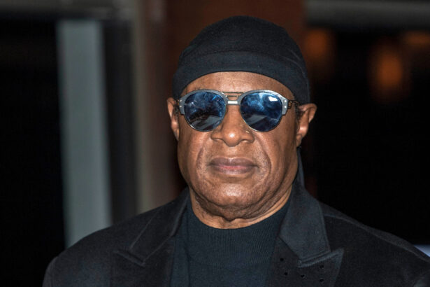 Stevie Wonder w 2018 roku (fot. Eugene Powers/ Shutterstock.com)