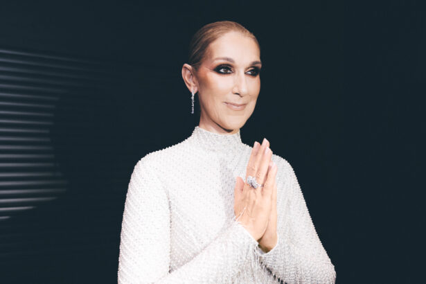 Céline Dion „Hymne à l'amour” (fot. Laura Gilli)