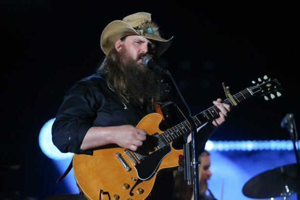 Chris Stapleton w 2018 roku (fot. Debby Wong / Shutterstock.com)