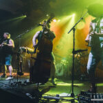 Steve 'n' Seagulls (fot. Sobiesław Pawlikowski)