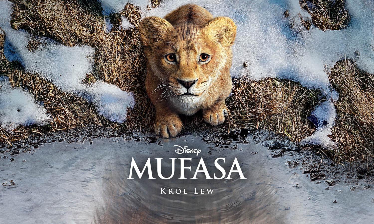 „Mufasa: Król Lew” (mat. prasowe Universal Music Polska)