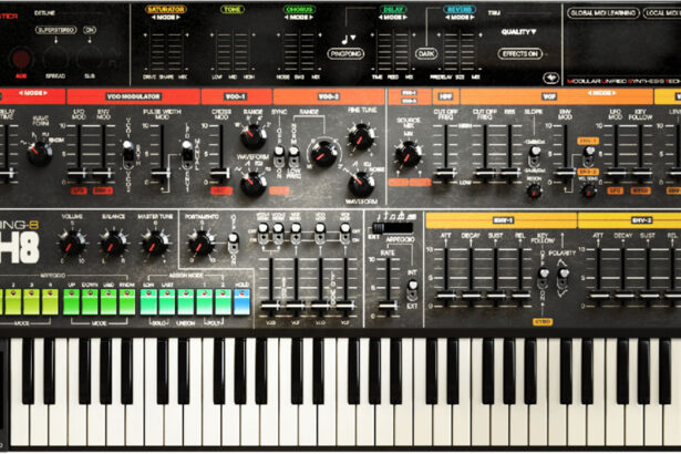 Acustica Audio Thing TH8 (fot. Acustica Audio)