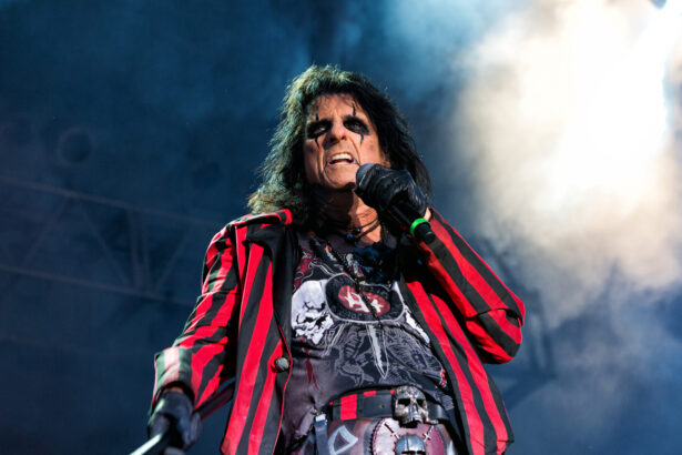 Alice Cooper (fot. Craig Sterken / Shutterstock.com)
